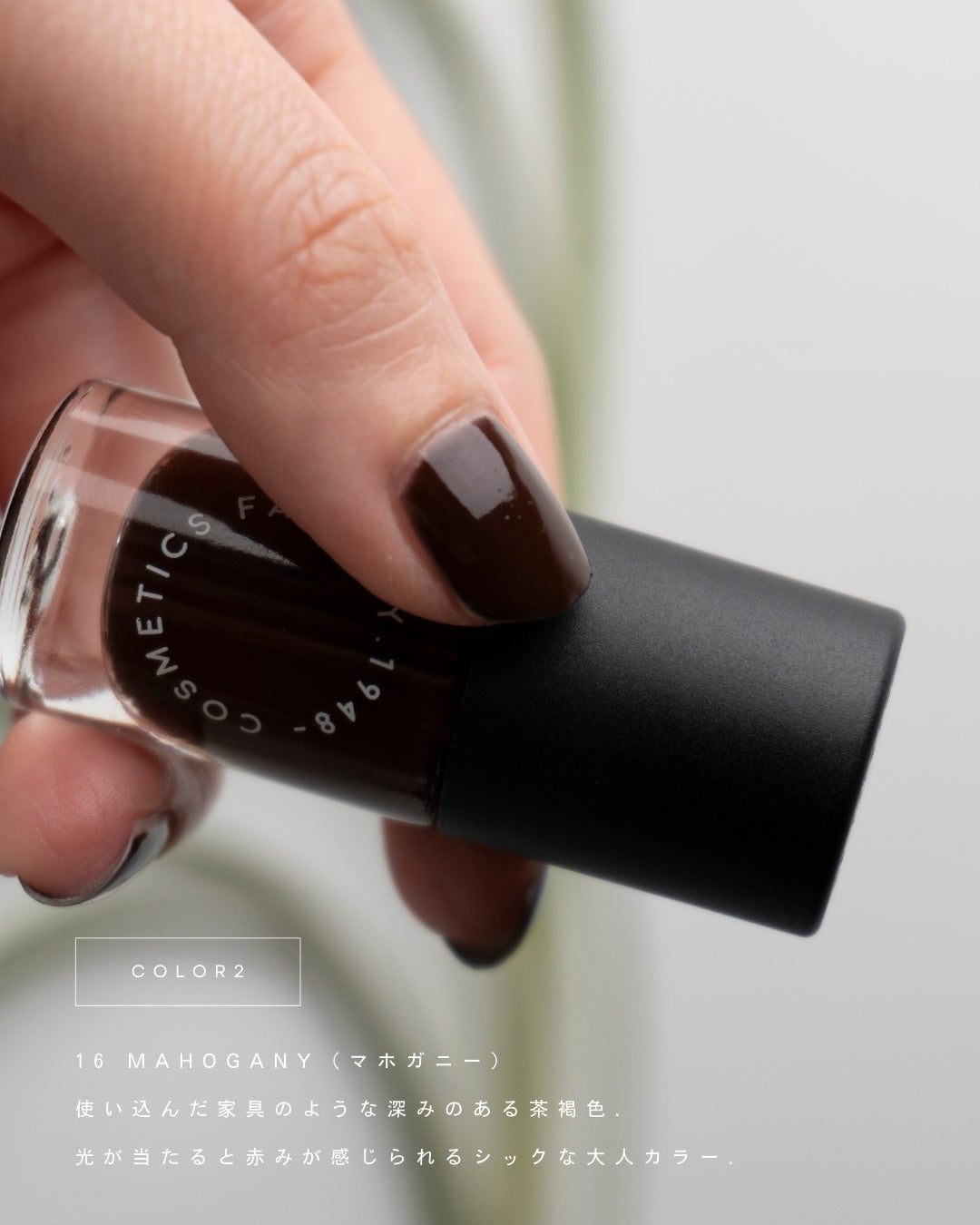 【5月限定】MAY NAIL COLOR SET