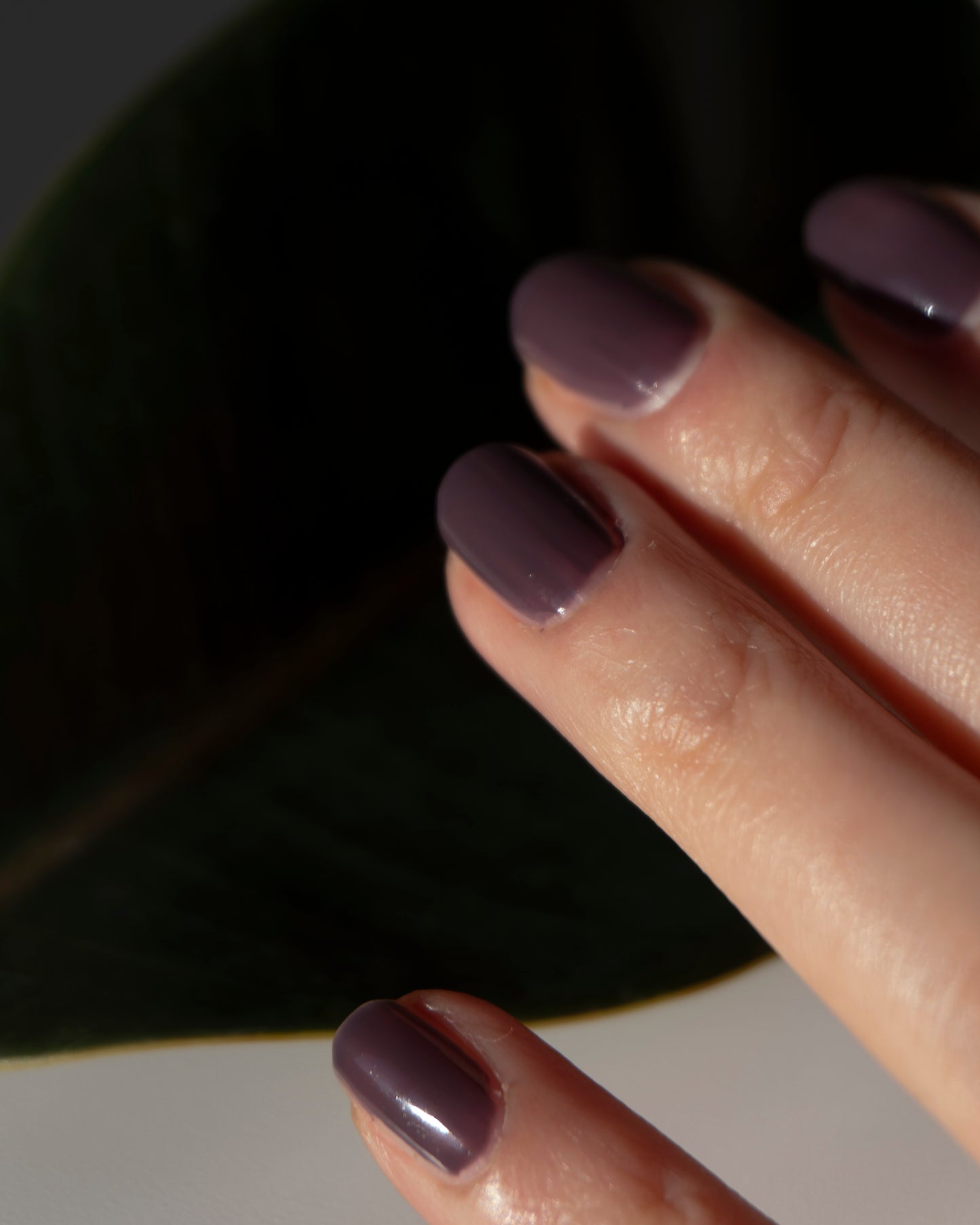 14 RAISIN / NAIL COLOR